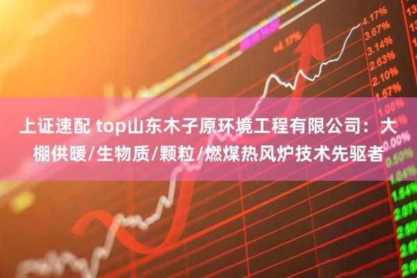 上证速配 top山东木子原环境工程有限公司：大棚供暖/生物质/颗粒/燃煤热风炉技术先驱者