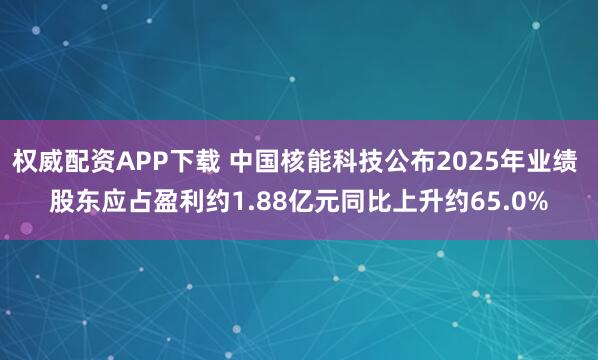 权威配资APP下载 中国核能科技公布2025年业绩 股东应占盈利约1.88亿元同比上升约65.0%