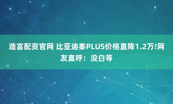 造富配资官网 比亚迪秦PLUS价格直降1.2万!网友直呼：没白等